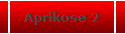 Aprikose 2