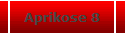 Aprikose 8